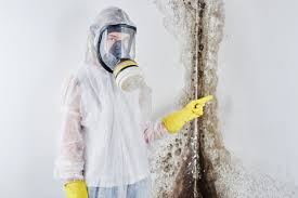 Best Biohazard Mold Removal in Springville, IA